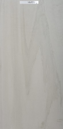 Lily - E10070